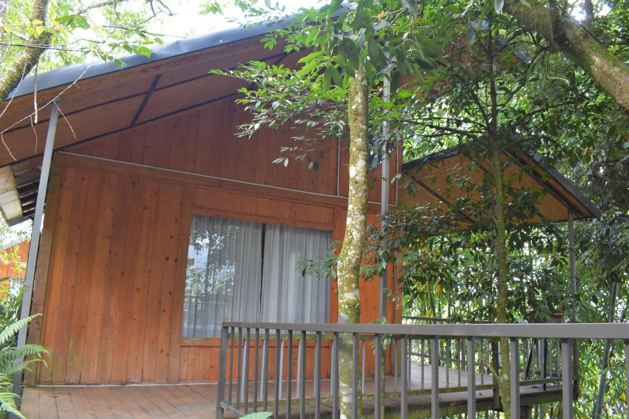 Sapa Jungle Homestay Extérieur photo