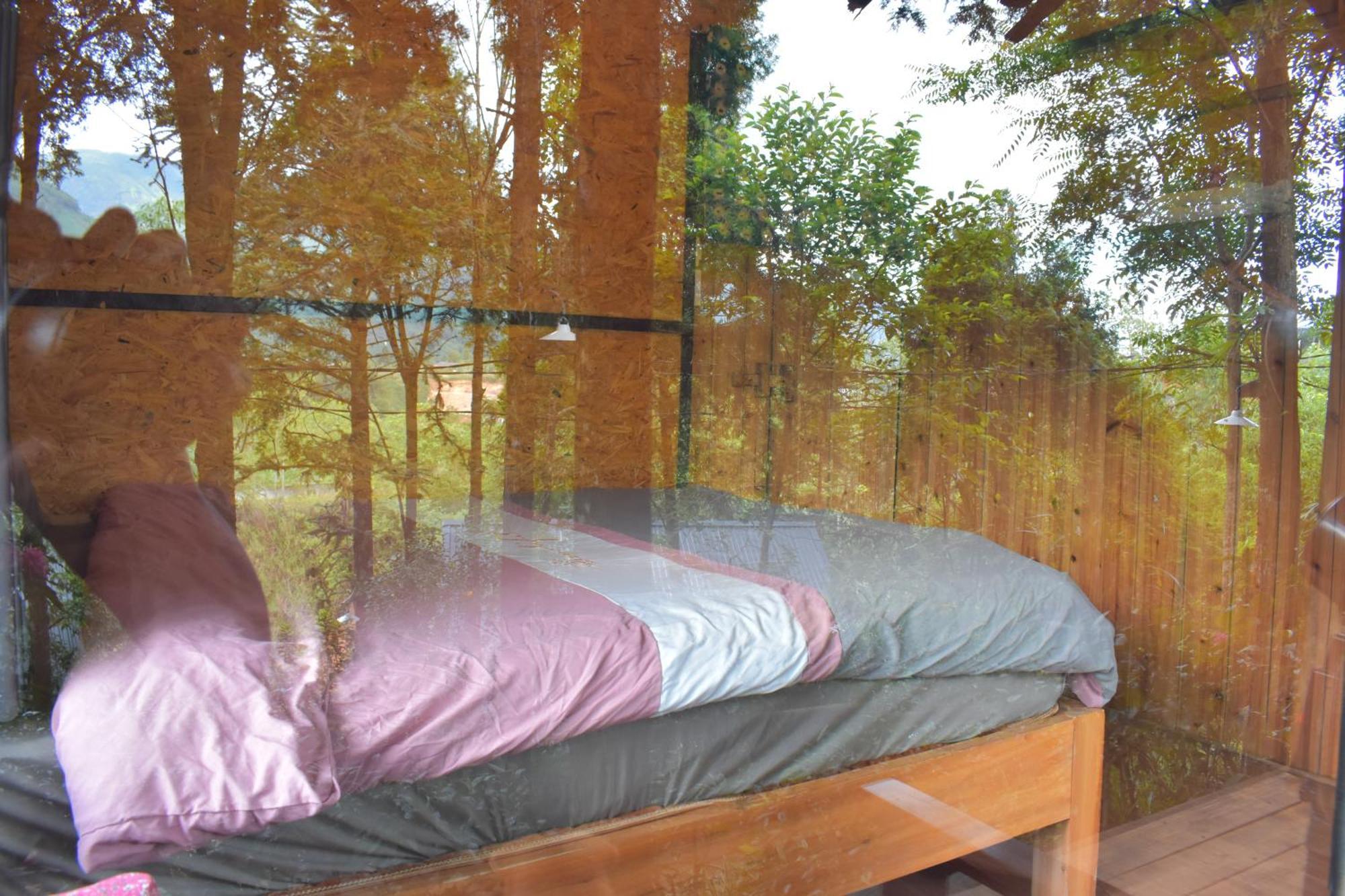 Sapa Jungle Homestay Extérieur photo