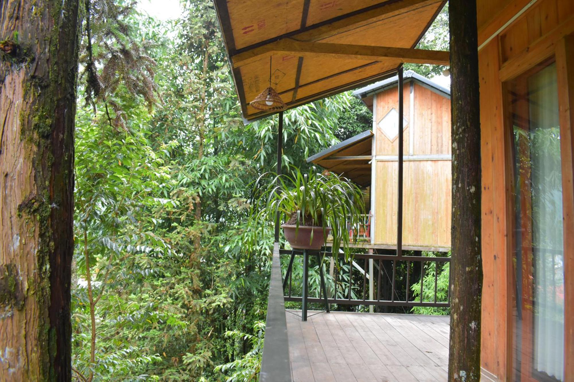 Sapa Jungle Homestay Extérieur photo
